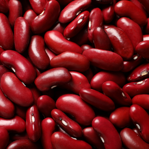 copy of namenab trading (5)