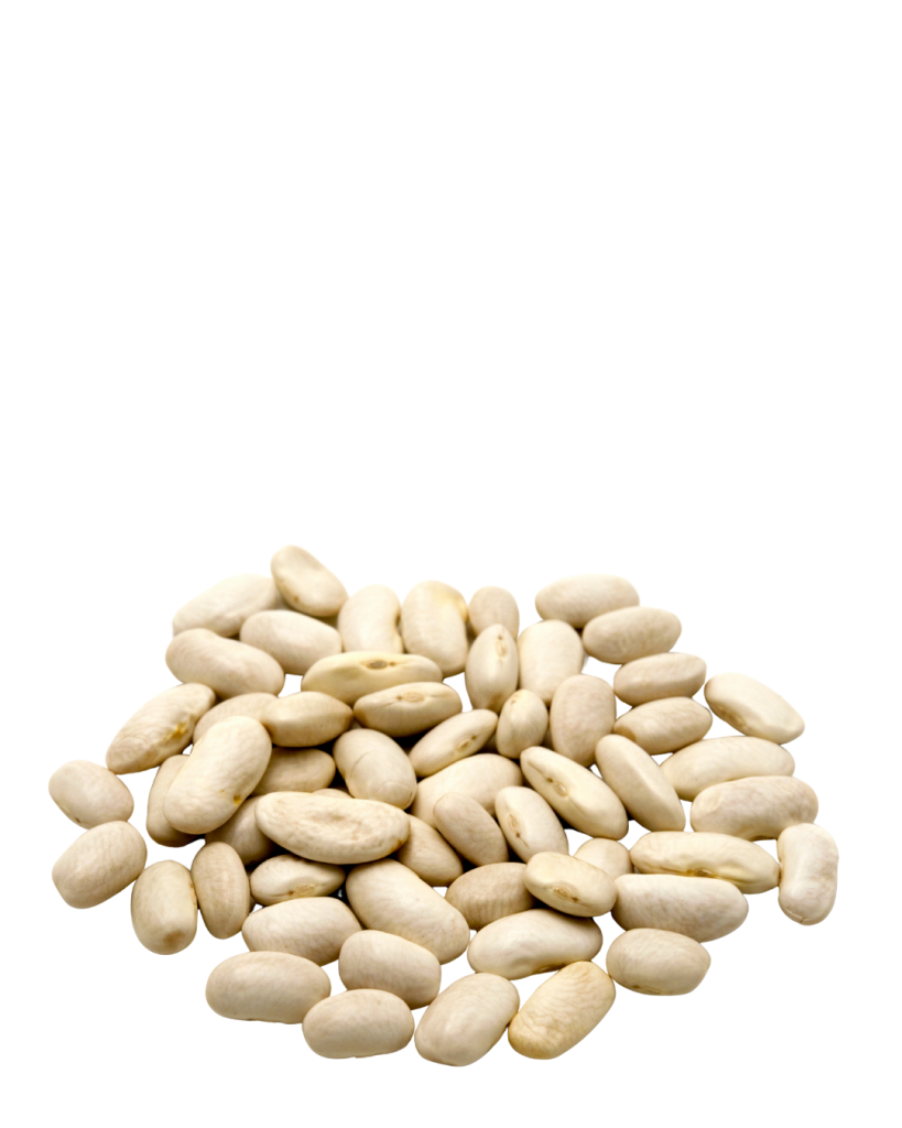 Cream Beans_
