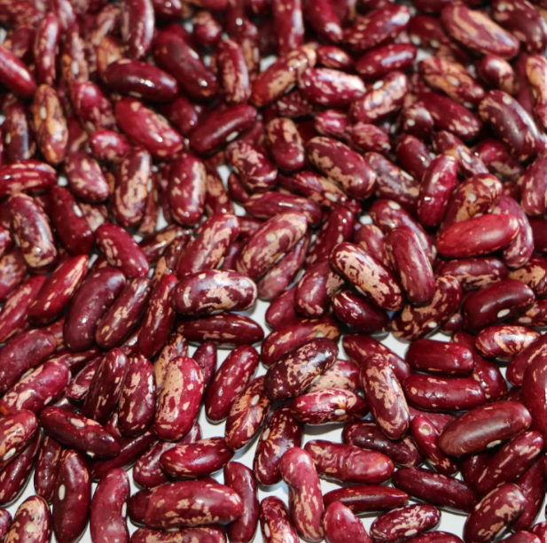 Ethiopian Red Speckled Beans