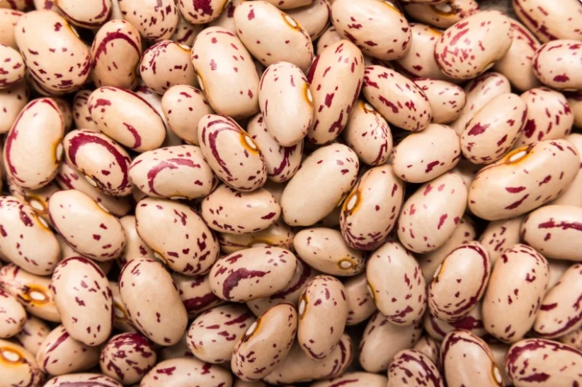 Ethiopian White Speckled Beans