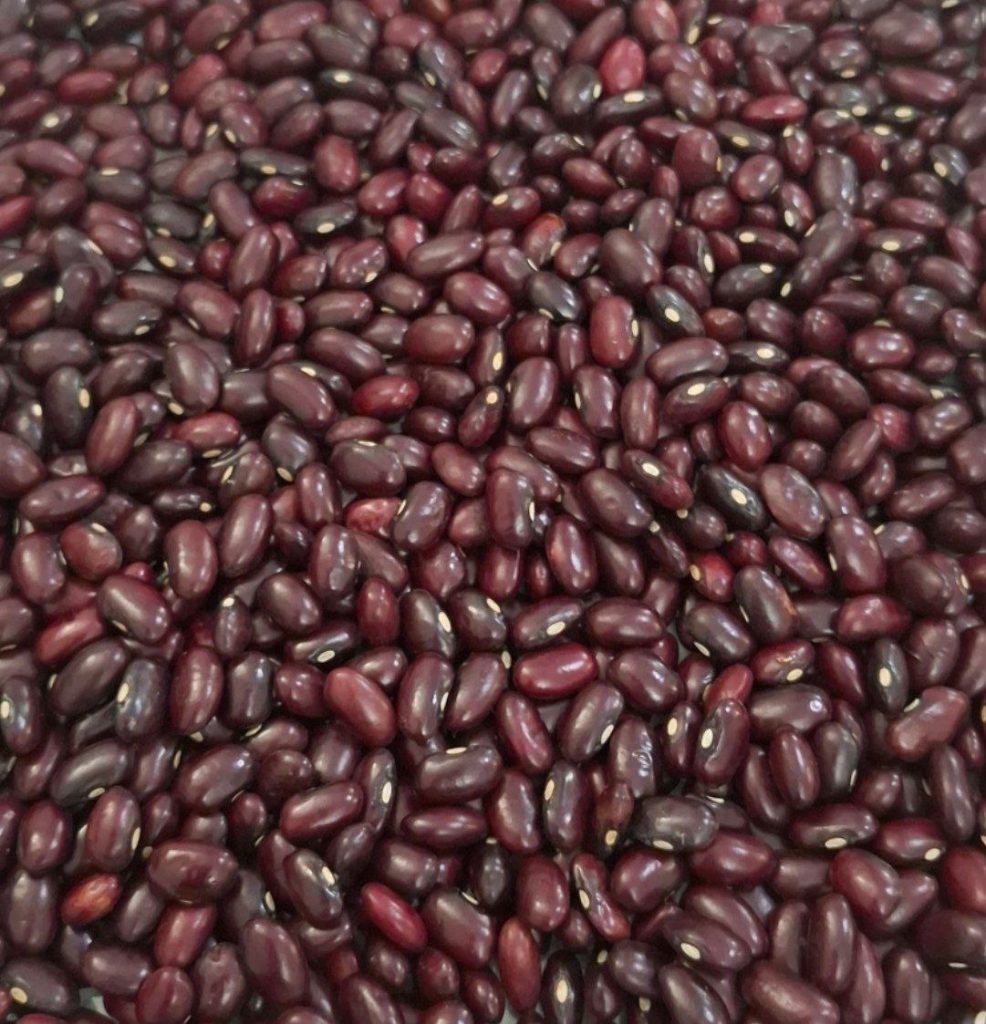 Ethiopian_Red_kidney_Beans
