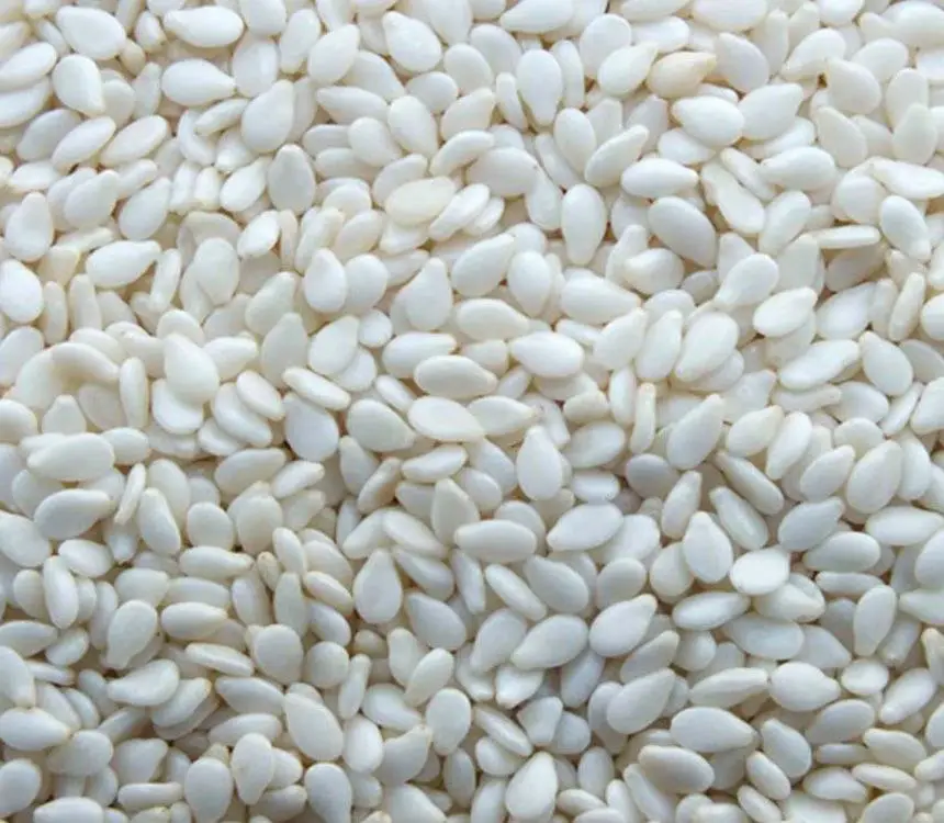 humera type sesame seed